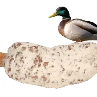 saucisson canard